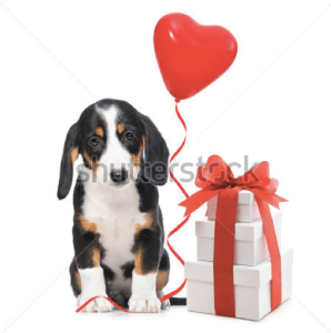 Screen Shot 2014-05-21 at 5.44.28 PM